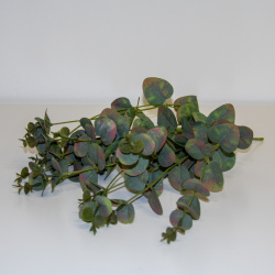 Eukalyptus umělý - větší listy