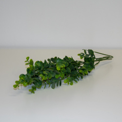 Eukalyptus umělý - menší listy